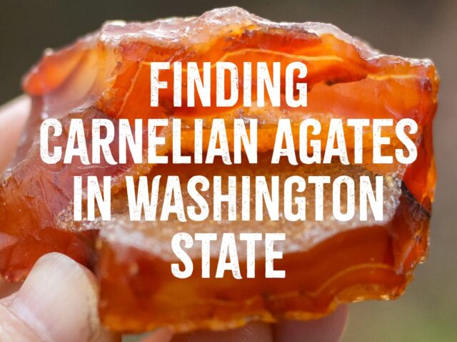 Finding Carnelian Agates in Washington State