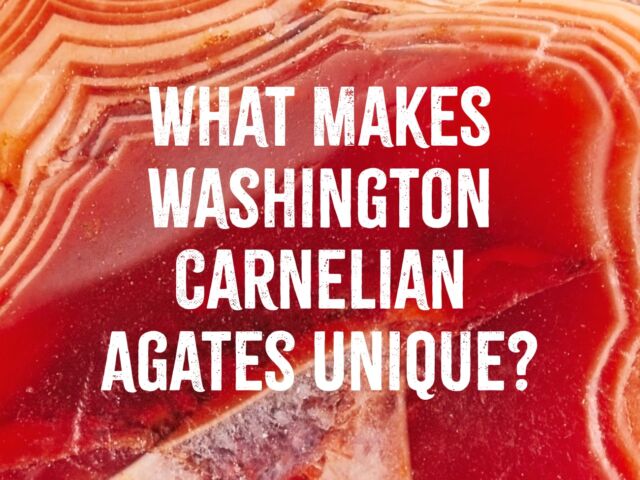 What Makes Washington Carnelian Agates Unique